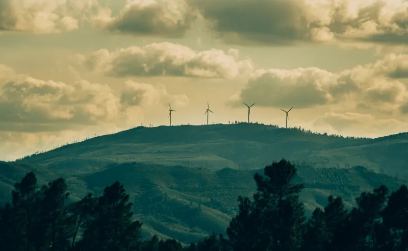 Beyond the Brochure: What Real Casino Sustainability Looks Like in 2024